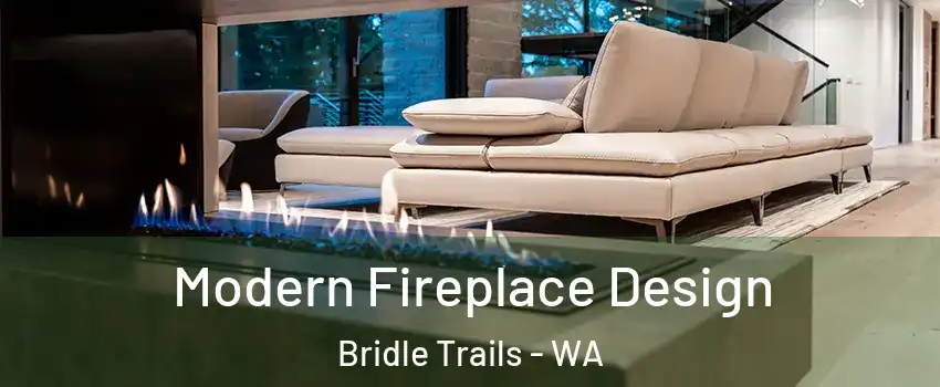 Modern Fireplace Design Bridle Trails - WA