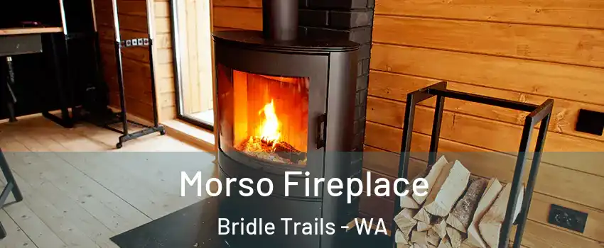 Morso Fireplace Bridle Trails - WA