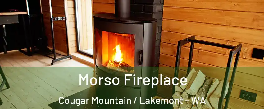 Morso Fireplace Cougar Mountain / Lakemont - WA