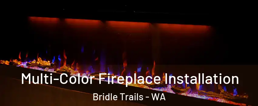 Multi-Color Fireplace Installation Bridle Trails - WA