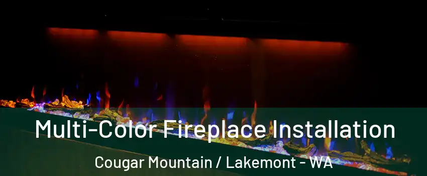 Multi-Color Fireplace Installation Cougar Mountain / Lakemont - WA