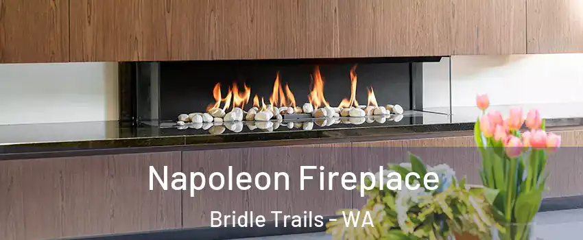 Napoleon Fireplace Bridle Trails - WA