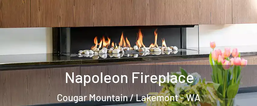 Napoleon Fireplace Cougar Mountain / Lakemont - WA