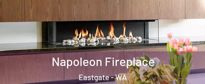 Napoleon Fireplace Eastgate - WA