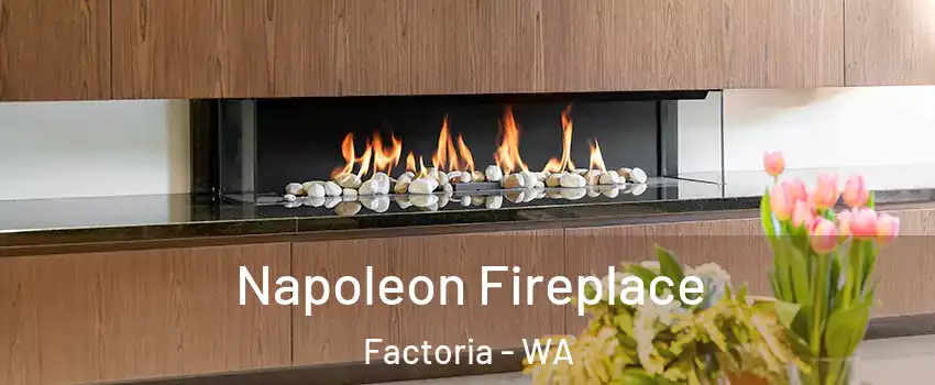 Napoleon Fireplace Factoria - WA