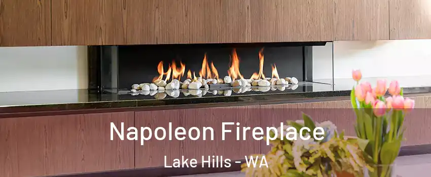 Napoleon Fireplace Lake Hills - WA