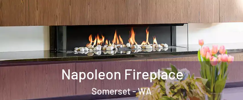 Napoleon Fireplace Somerset - WA