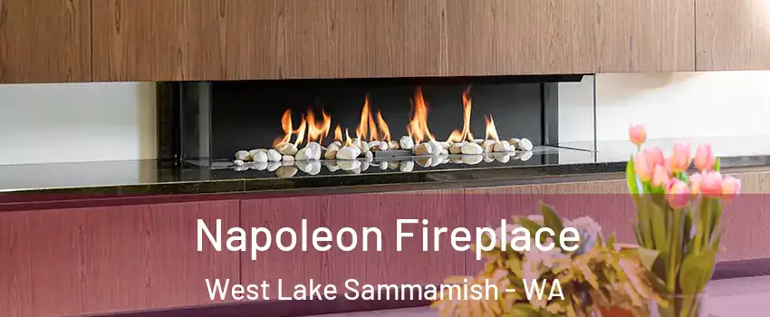 Napoleon Fireplace West Lake Sammamish - WA