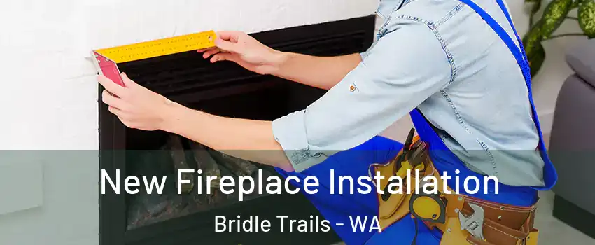 New Fireplace Installation Bridle Trails - WA