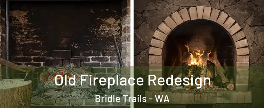 Old Fireplace Redesign Bridle Trails - WA