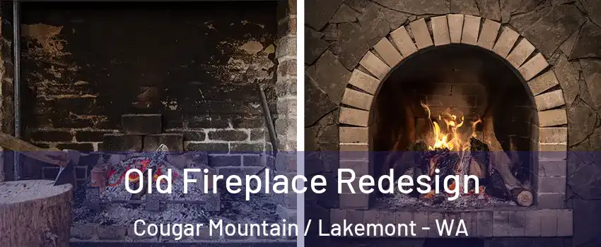 Old Fireplace Redesign Cougar Mountain / Lakemont - WA