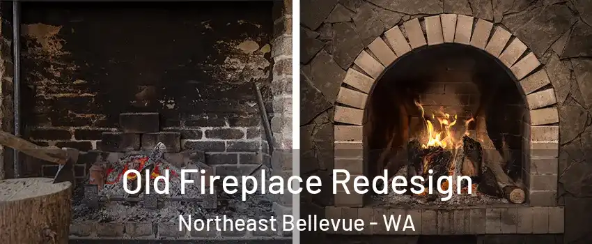 Old Fireplace Redesign Northeast Bellevue - WA