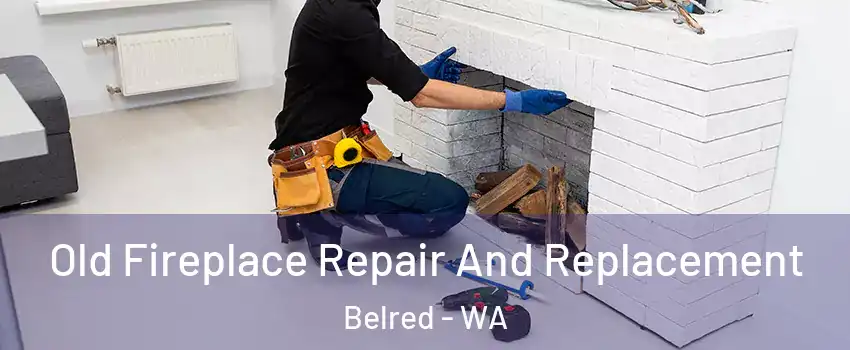 Old Fireplace Repair And Replacement Belred - WA