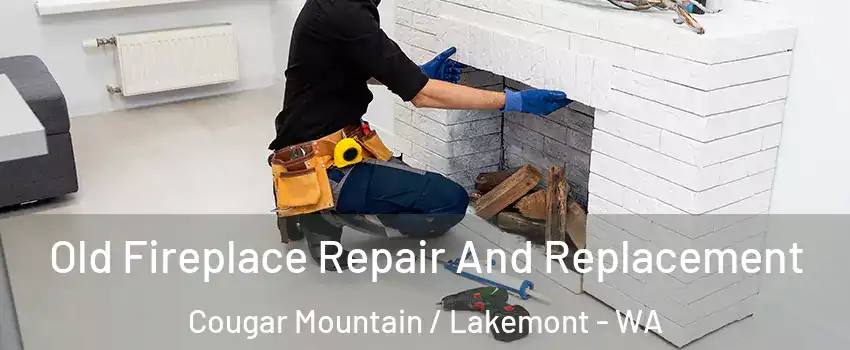 Old Fireplace Repair And Replacement Cougar Mountain / Lakemont - WA