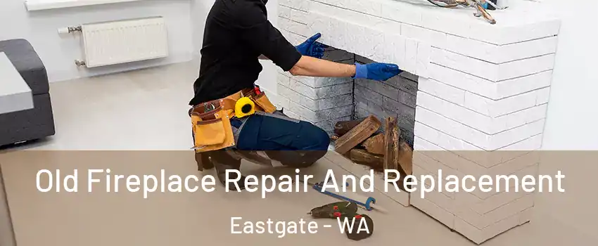 Old Fireplace Repair And Replacement Eastgate - WA