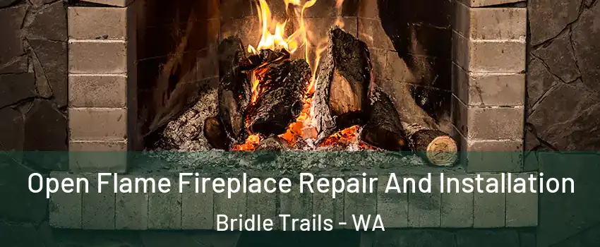 Open Flame Fireplace Repair And Installation Bridle Trails - WA