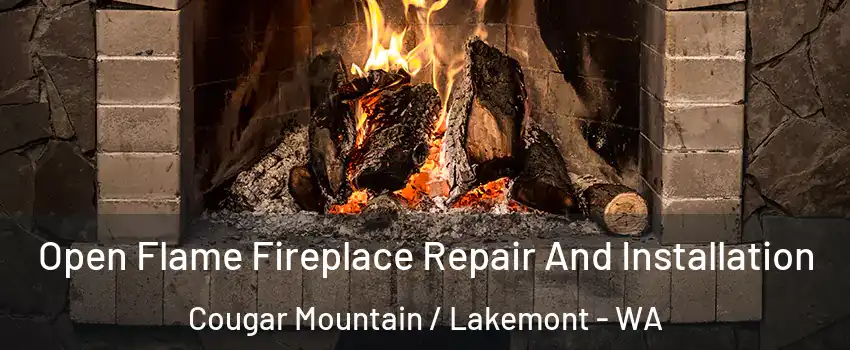 Open Flame Fireplace Repair And Installation Cougar Mountain / Lakemont - WA