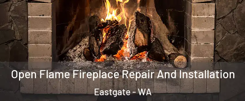 Open Flame Fireplace Repair And Installation Eastgate - WA