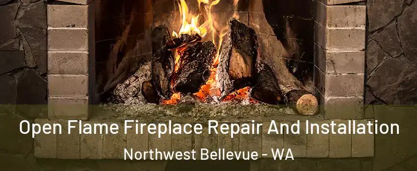 Open Flame Fireplace Repair And Installation Northwest Bellevue - WA