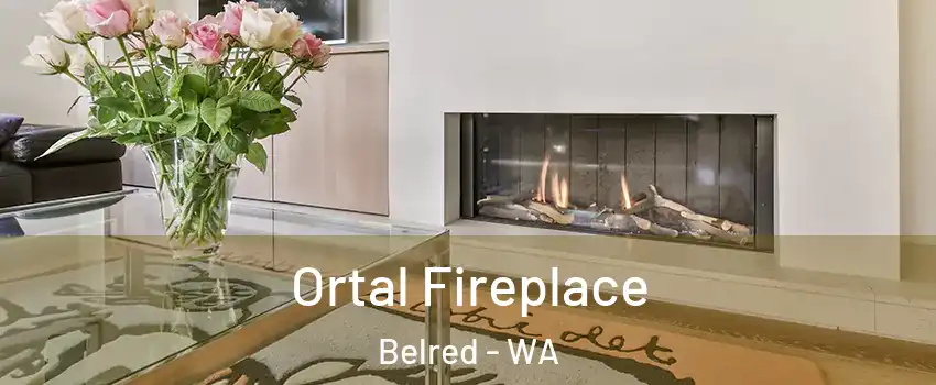 Ortal Fireplace Belred - WA