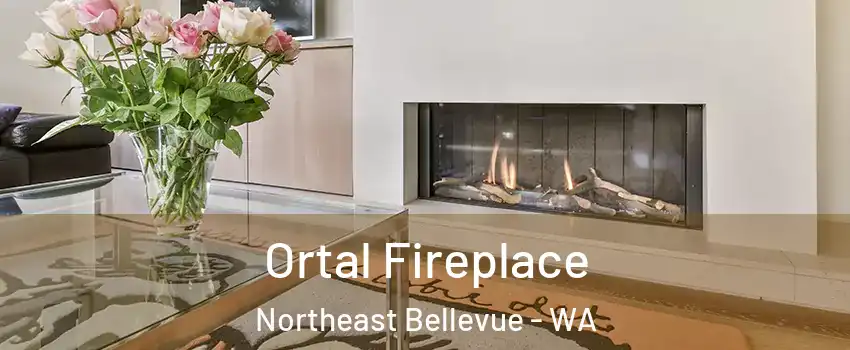 Ortal Fireplace Northeast Bellevue - WA