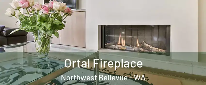 Ortal Fireplace Northwest Bellevue - WA