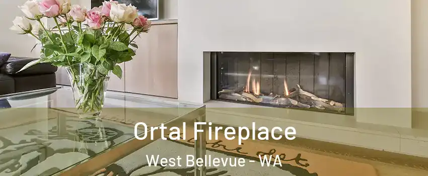 Ortal Fireplace West Bellevue - WA