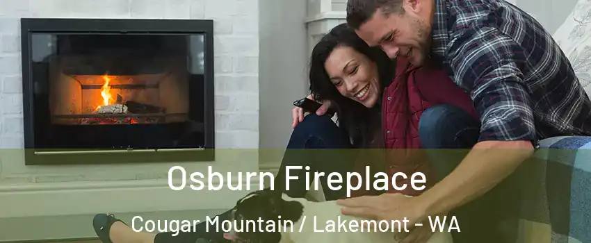 Osburn Fireplace Cougar Mountain / Lakemont - WA