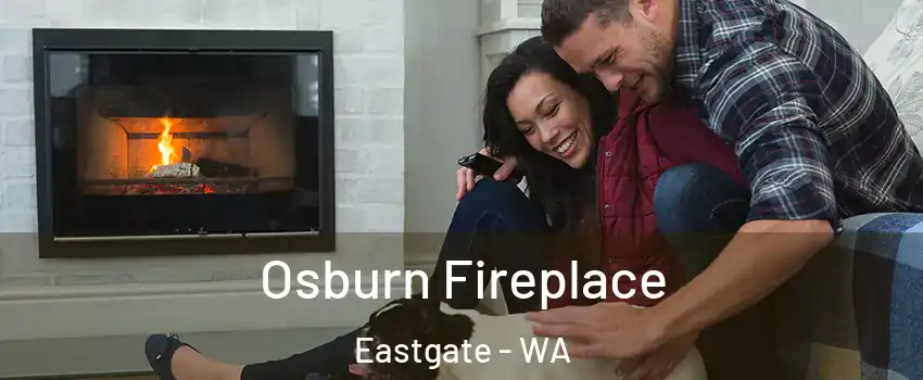 Osburn Fireplace Eastgate - WA