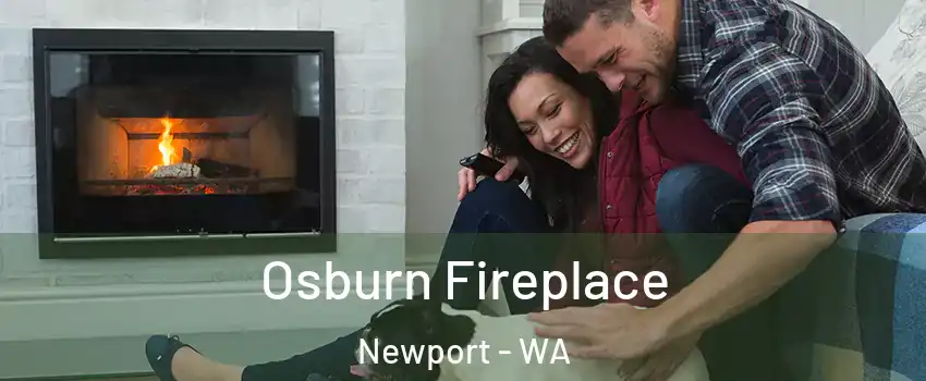 Osburn Fireplace Newport - WA