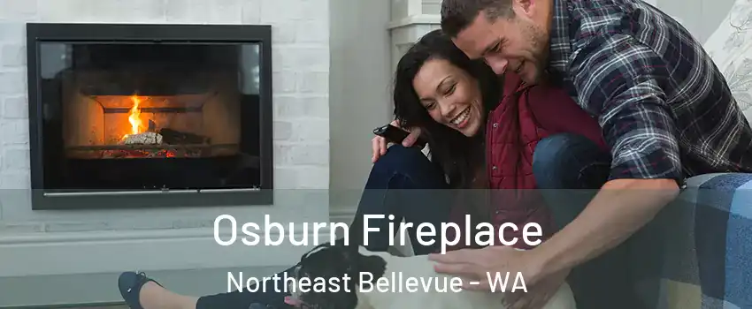 Osburn Fireplace Northeast Bellevue - WA