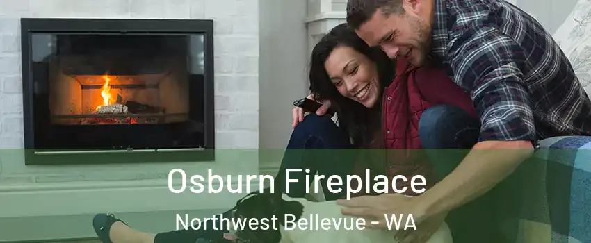 Osburn Fireplace Northwest Bellevue - WA