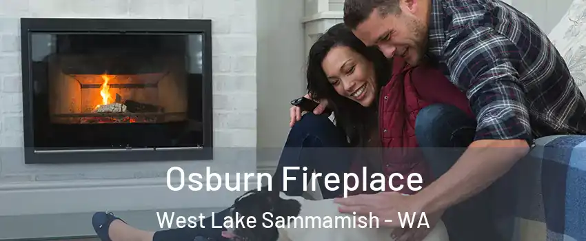 Osburn Fireplace West Lake Sammamish - WA