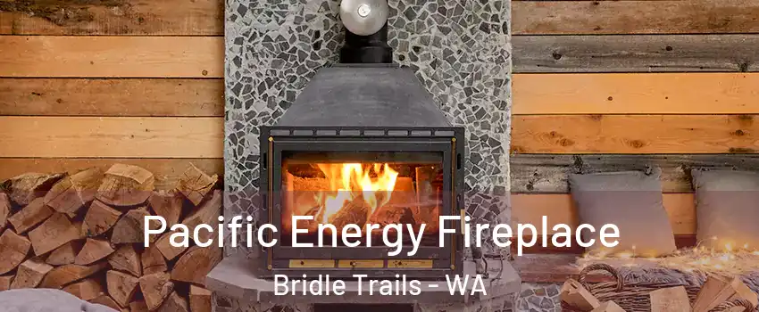 Pacific Energy Fireplace Bridle Trails - WA