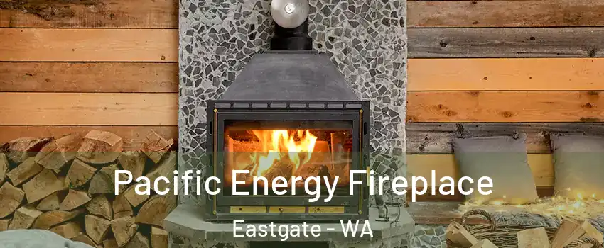 Pacific Energy Fireplace Eastgate - WA