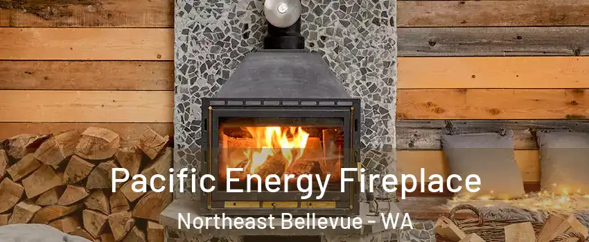 Pacific Energy Fireplace Northeast Bellevue - WA