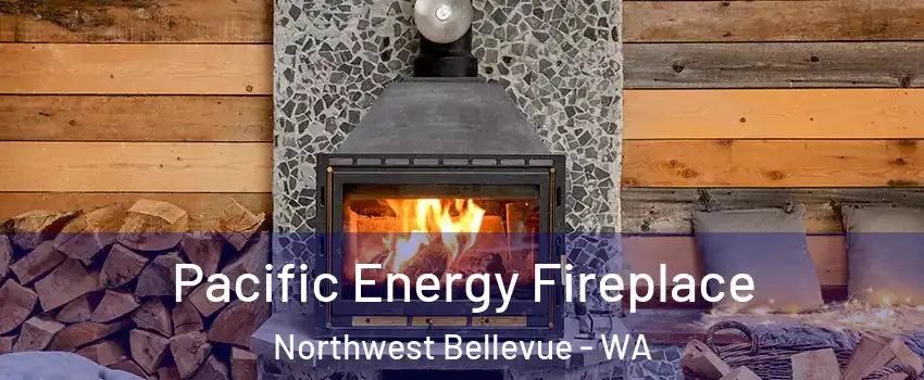 Pacific Energy Fireplace Northwest Bellevue - WA