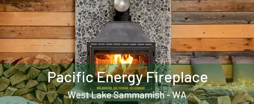 Pacific Energy Fireplace West Lake Sammamish - WA