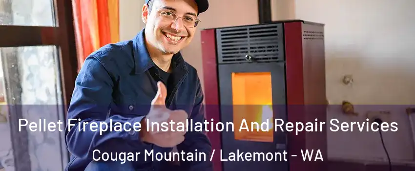 Pellet Fireplace Installation And Repair Services Cougar Mountain / Lakemont - WA