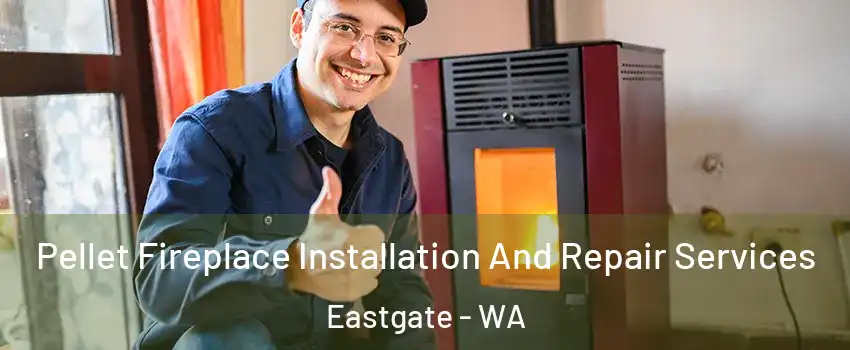 Pellet Fireplace Installation And Repair Services Eastgate - WA