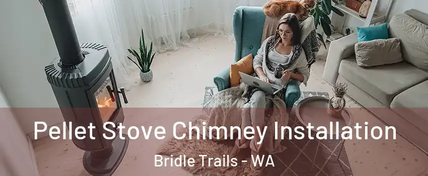 Pellet Stove Chimney Installation Bridle Trails - WA