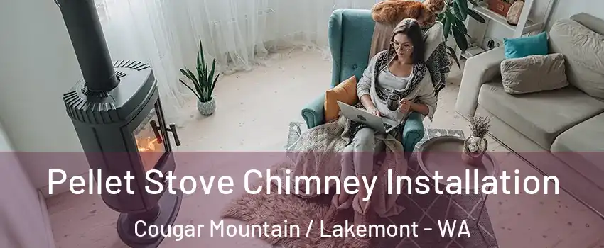 Pellet Stove Chimney Installation Cougar Mountain / Lakemont - WA