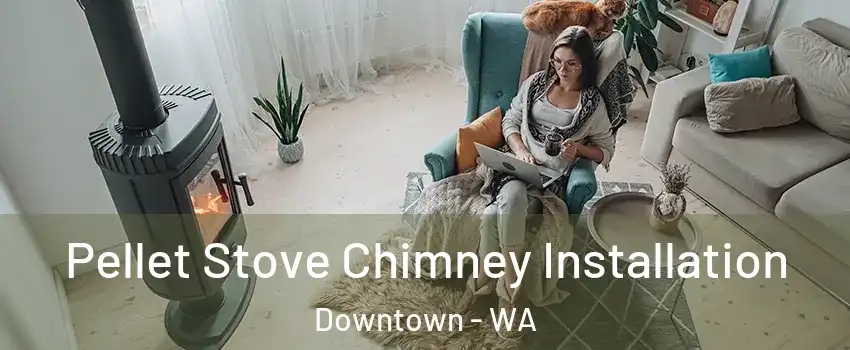 Pellet Stove Chimney Installation Downtown - WA