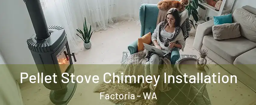 Pellet Stove Chimney Installation Factoria - WA