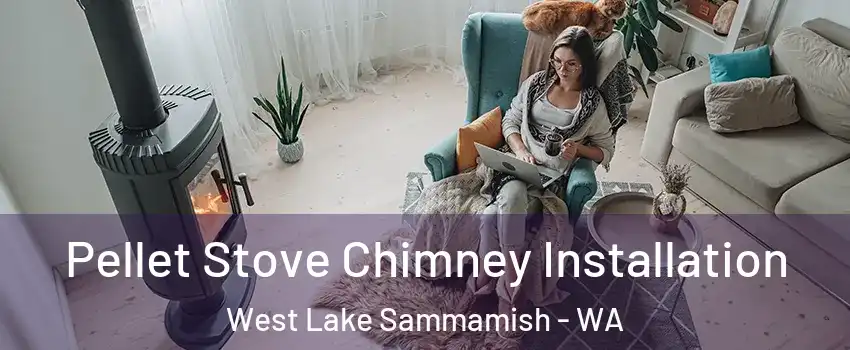 Pellet Stove Chimney Installation West Lake Sammamish - WA