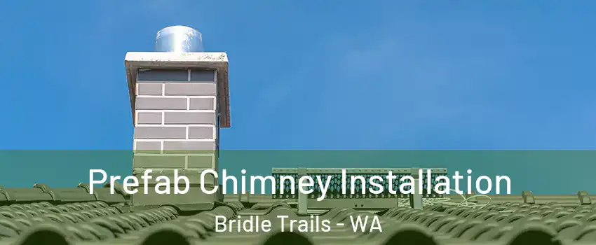 Prefab Chimney Installation Bridle Trails - WA