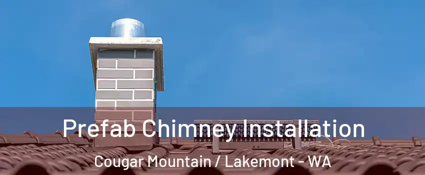 Prefab Chimney Installation Cougar Mountain / Lakemont - WA