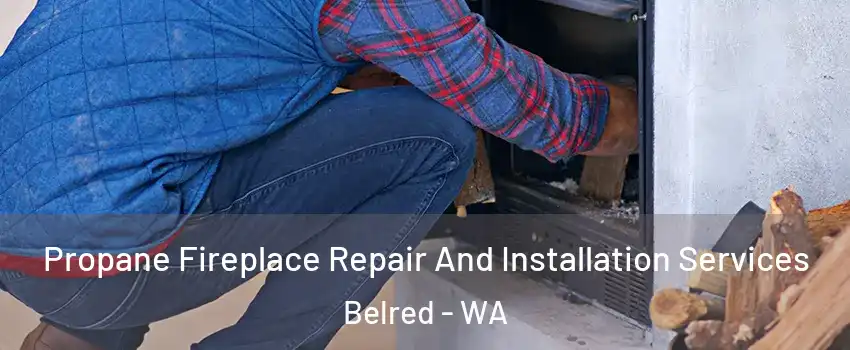 Propane Fireplace Repair And Installation Services Belred - WA