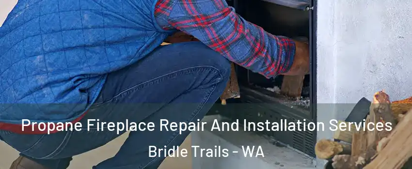 Propane Fireplace Repair And Installation Services Bridle Trails - WA