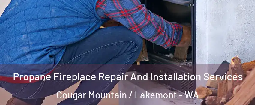 Propane Fireplace Repair And Installation Services Cougar Mountain / Lakemont - WA